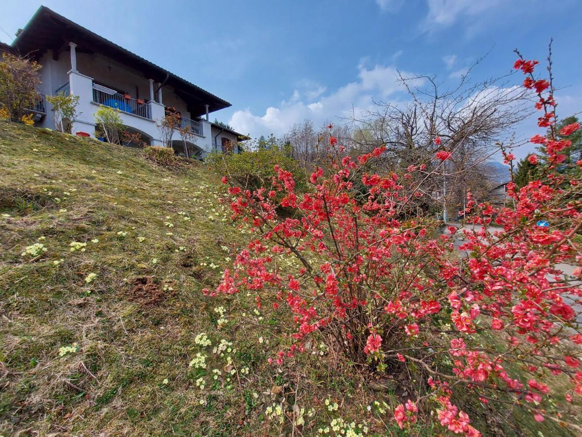 La Casa Delle Camelie Villa Stresa Ngoại thất bức ảnh
