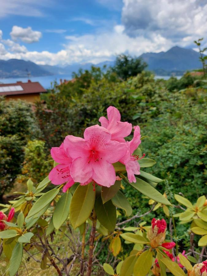 La Casa Delle Camelie Villa Stresa Ngoại thất bức ảnh