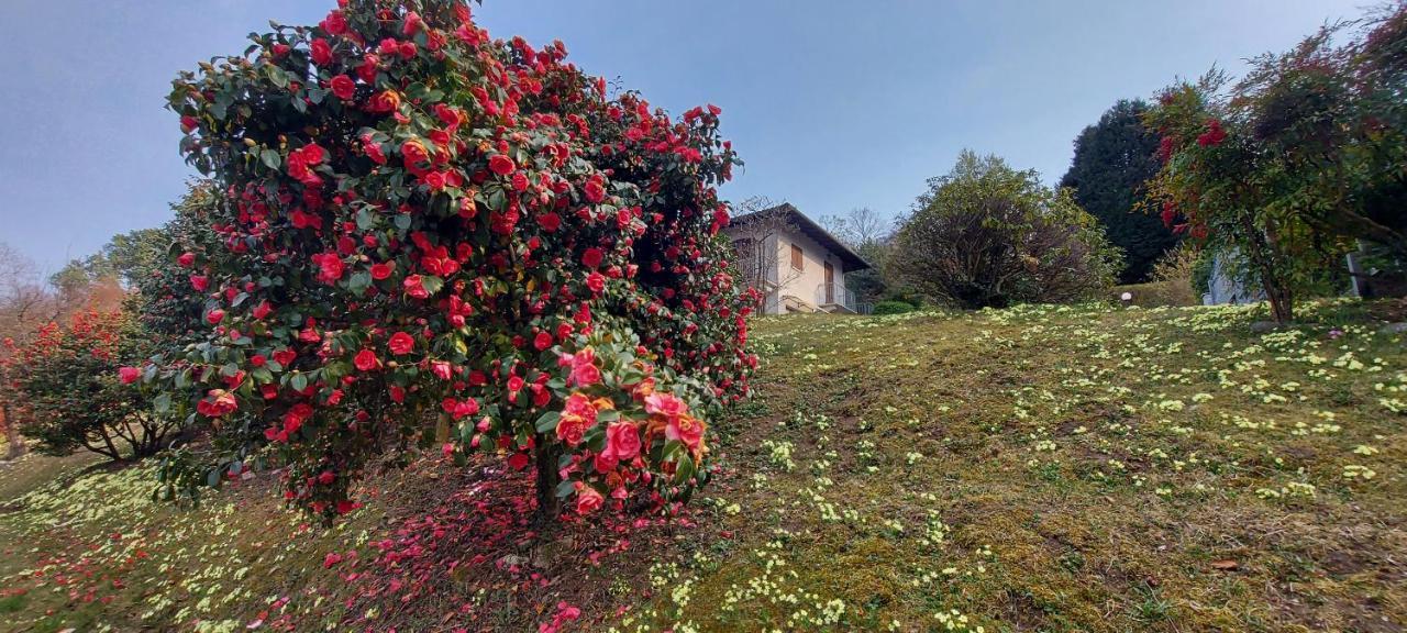 La Casa Delle Camelie Villa Stresa Ngoại thất bức ảnh